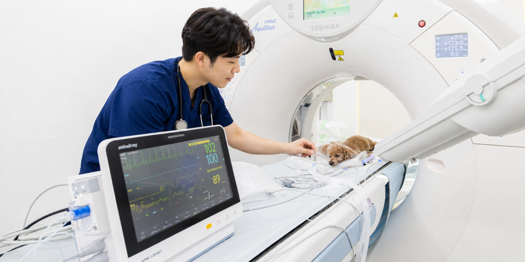 루센트 동물의료센터 CT